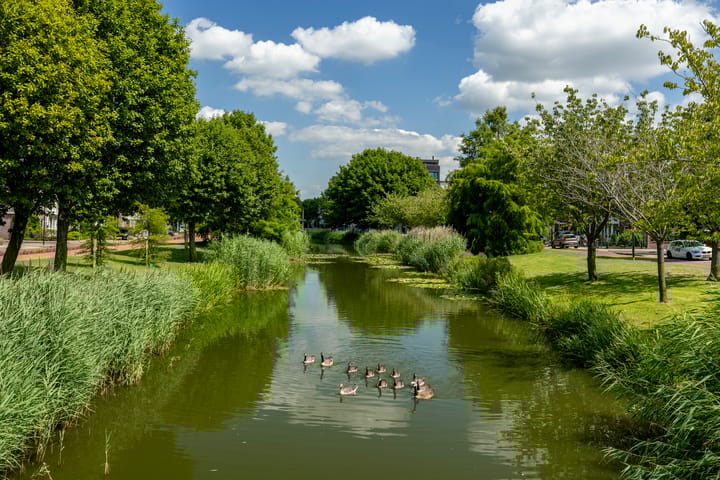 Foto 35 van Meerwedesingel 15