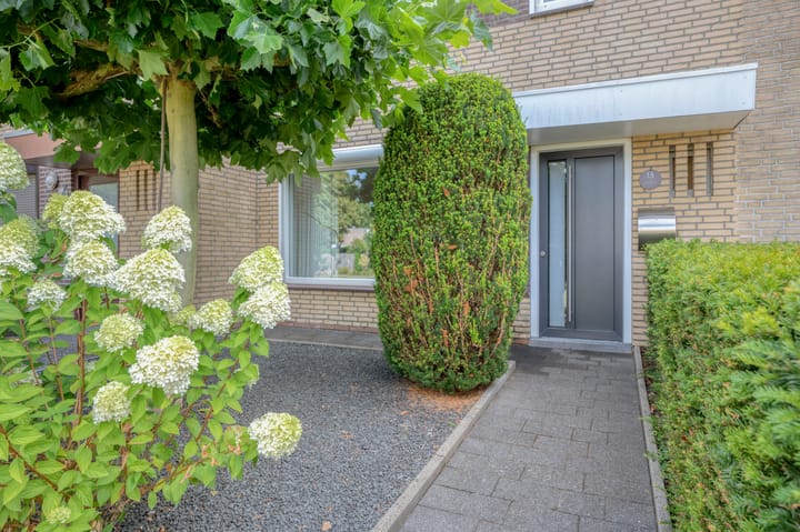 Foto 4 van Hopperank 13