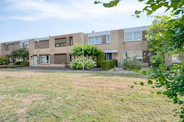 Foto 38 van Hopperank 13