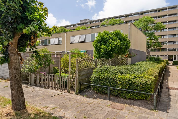 Foto 2 van de Dulf 13