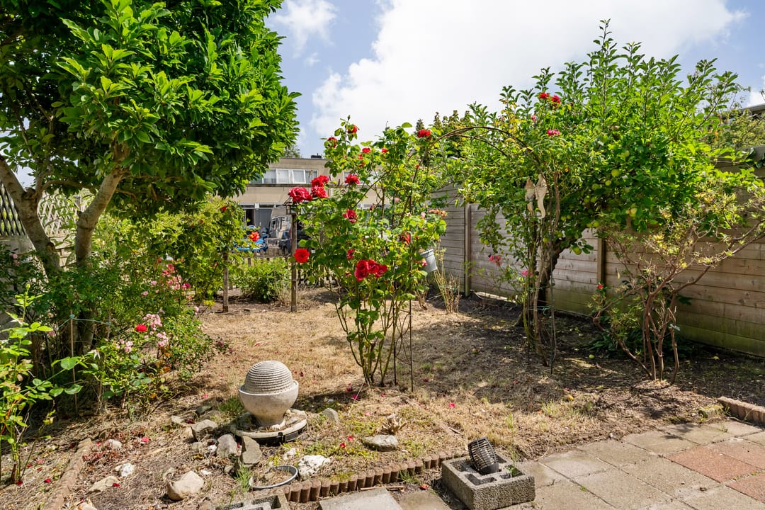 Foto 22 van de Dulf 13