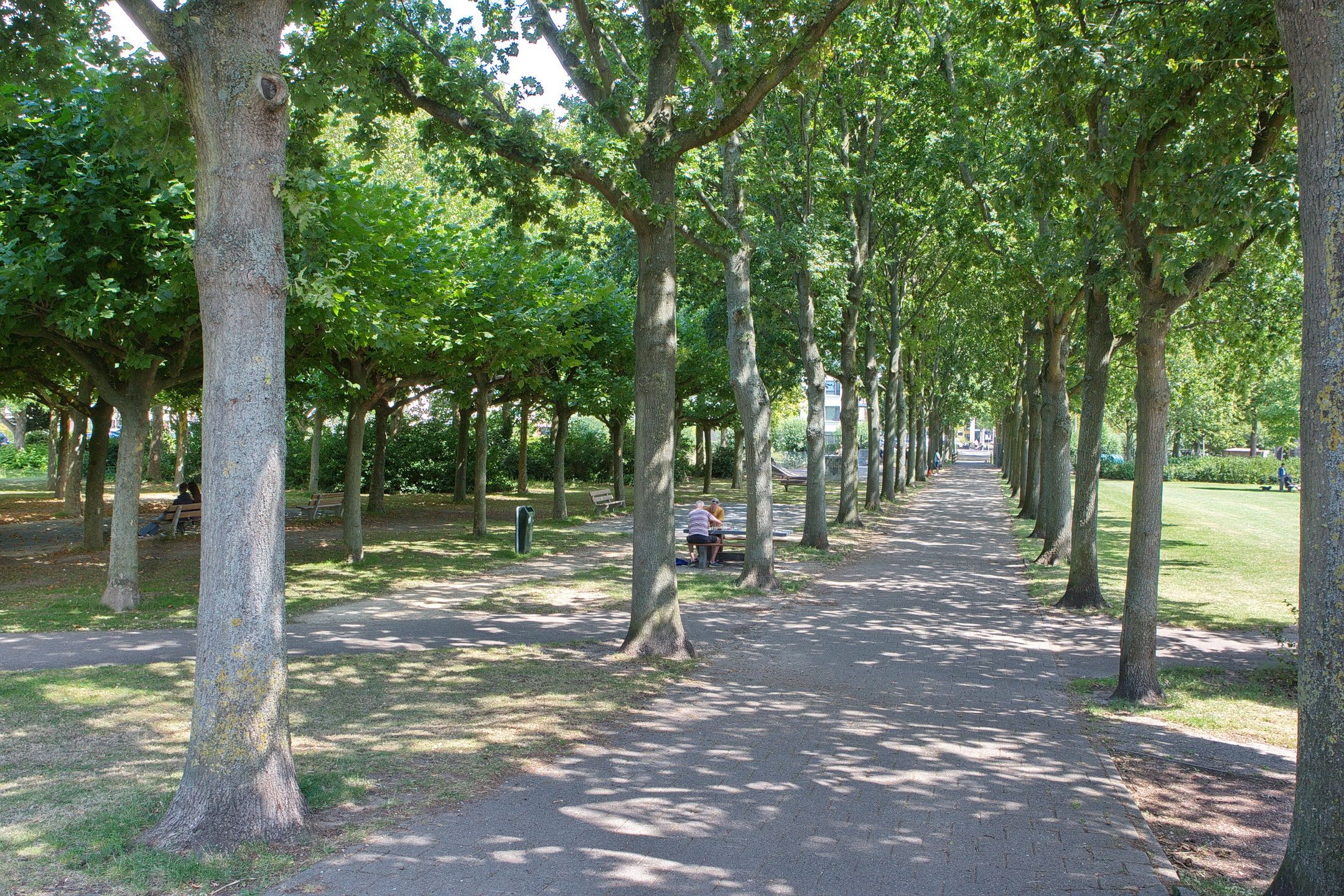 Foto 27 van Cort van der Lindenstraat 4