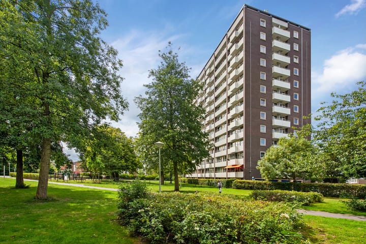 Foto 5 van Haverkamp 52