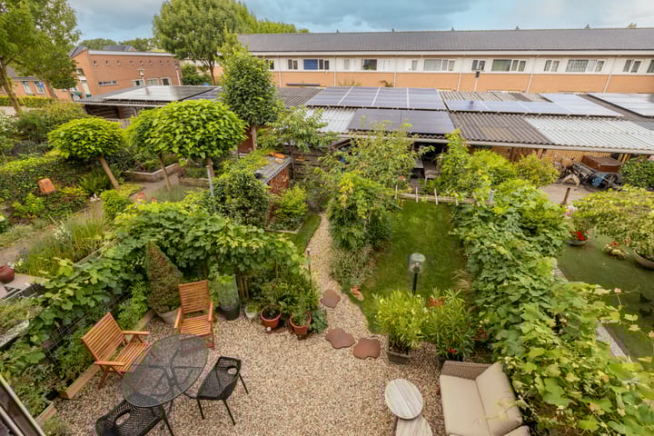 Foto 2 van Vrouwenmantel 81