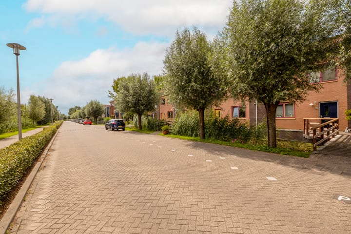 Foto 6 van Vrouwenmantel 81