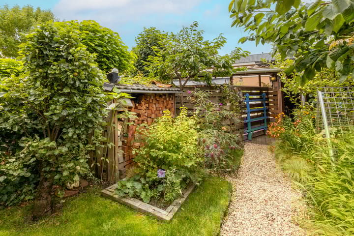 Foto 55 van Vrouwenmantel 81