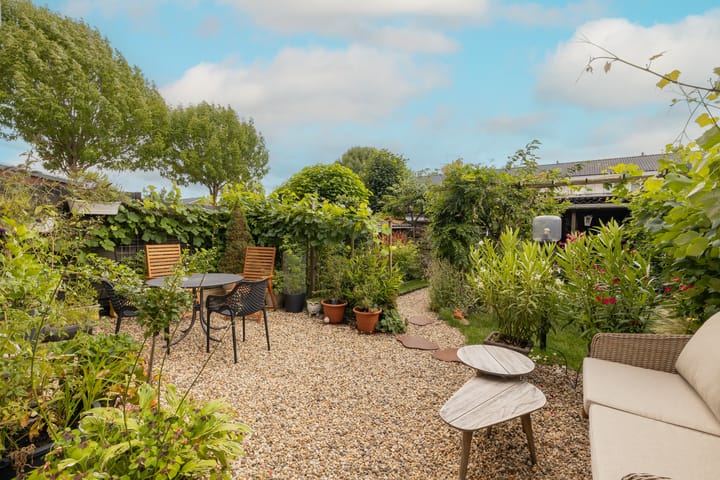 Foto 51 van Vrouwenmantel 81