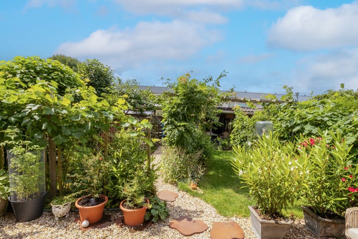 Foto 53 van Vrouwenmantel 81