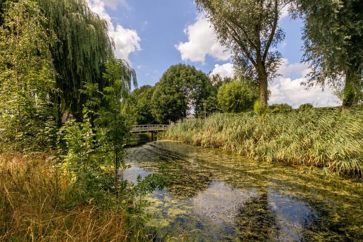 Foto 69 van Vrouwenmantel 81