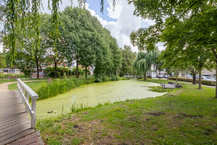 Foto 66 van Vrouwenmantel 81