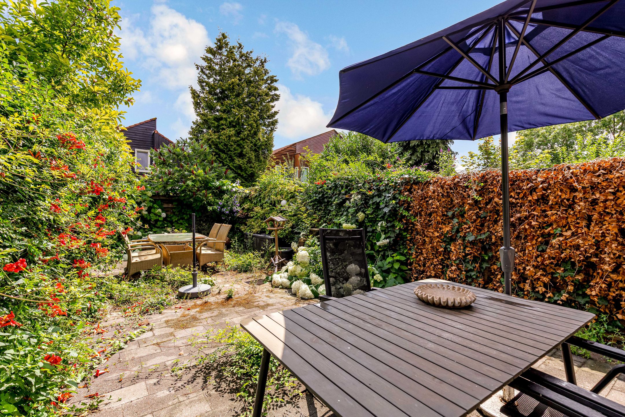 Foto 30 van Zoom 20 27