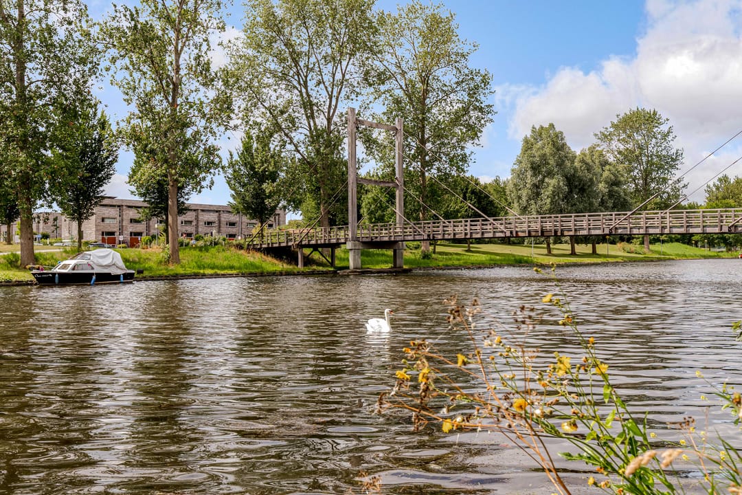 Foto 37 van Zoom 20 27