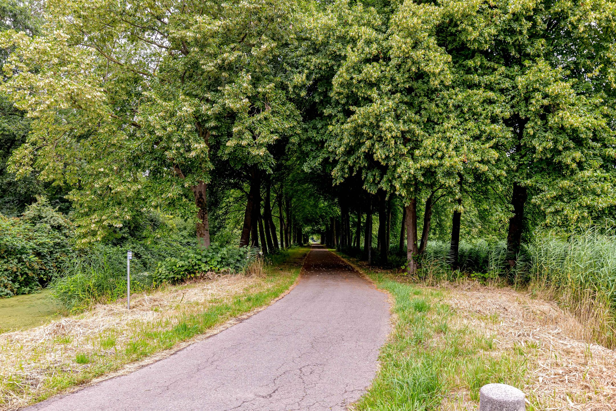 Foto 39 van Zoom 20 27