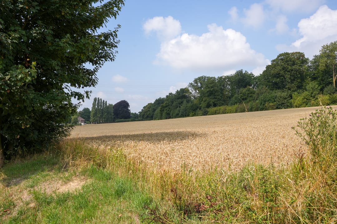 Photo 32 of Frans Erenslaan 87