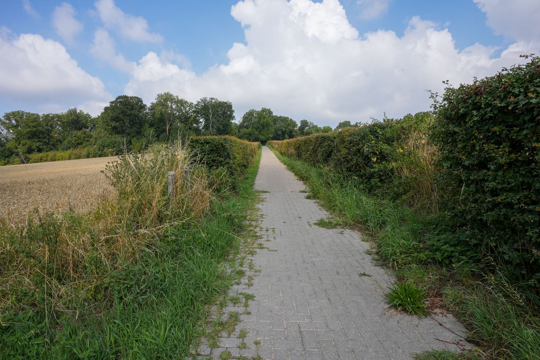 Photo 33 of Frans Erenslaan 87