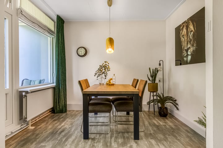 Photo 6 of Anna van Burenlaan 208