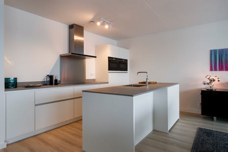 Image of Appartement type Ib Apartment with shared street entrance