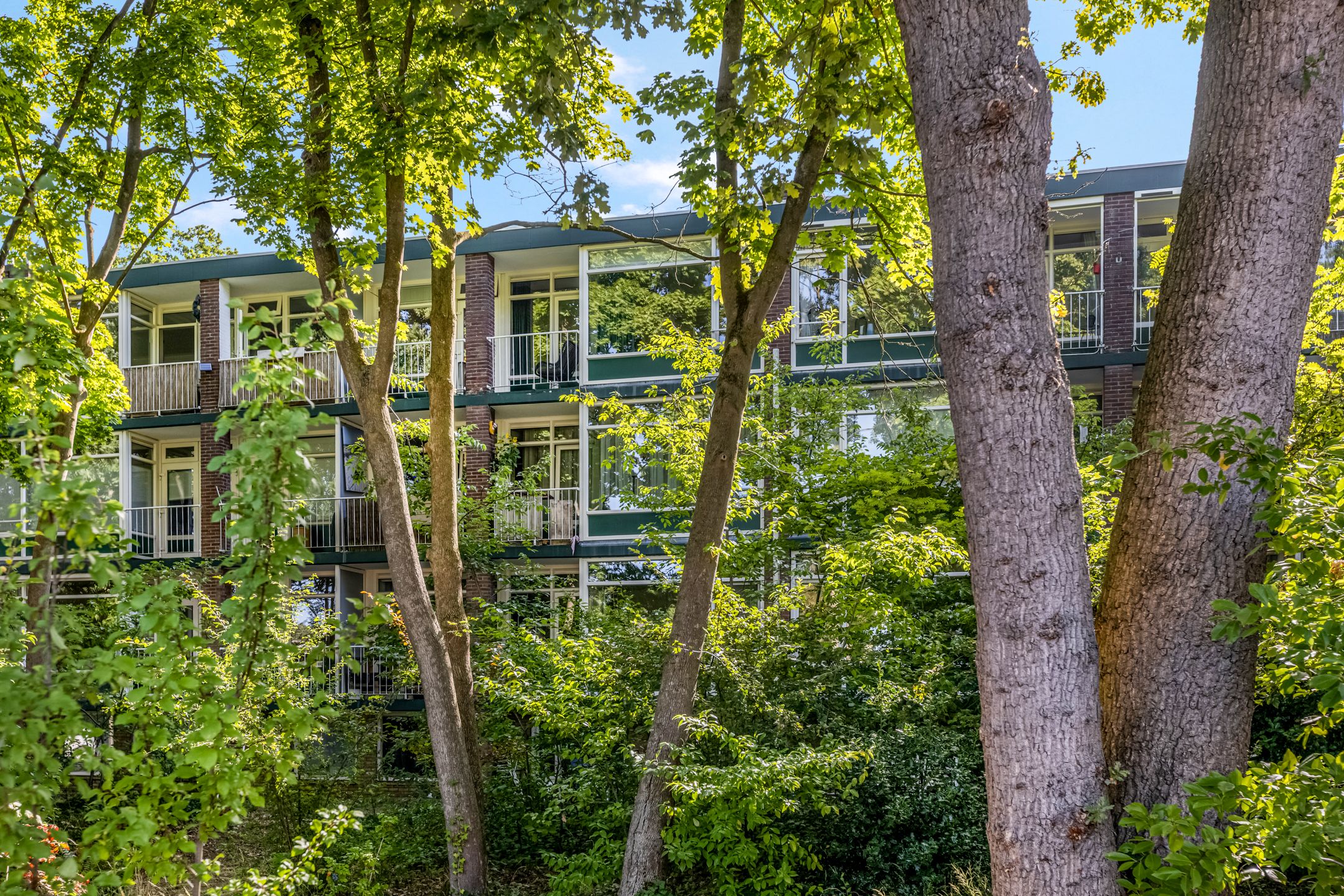 Foto 30 van Anna van Burenlaan 208