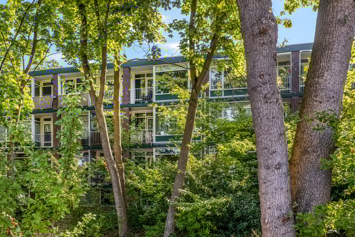 Photo 30 of Anna van Burenlaan 208