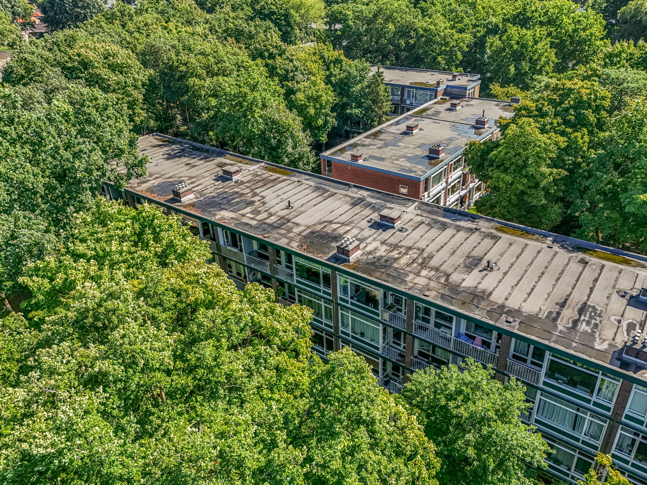 Foto 36 van Anna van Burenlaan 208