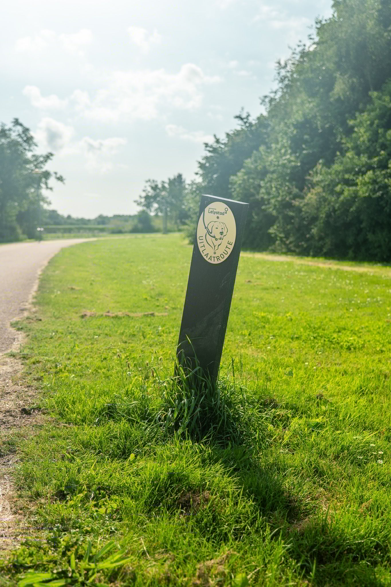 Foto 50 van Orchideelaan 24