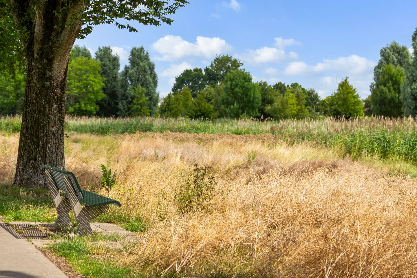 Foto 55 van Vaart 29