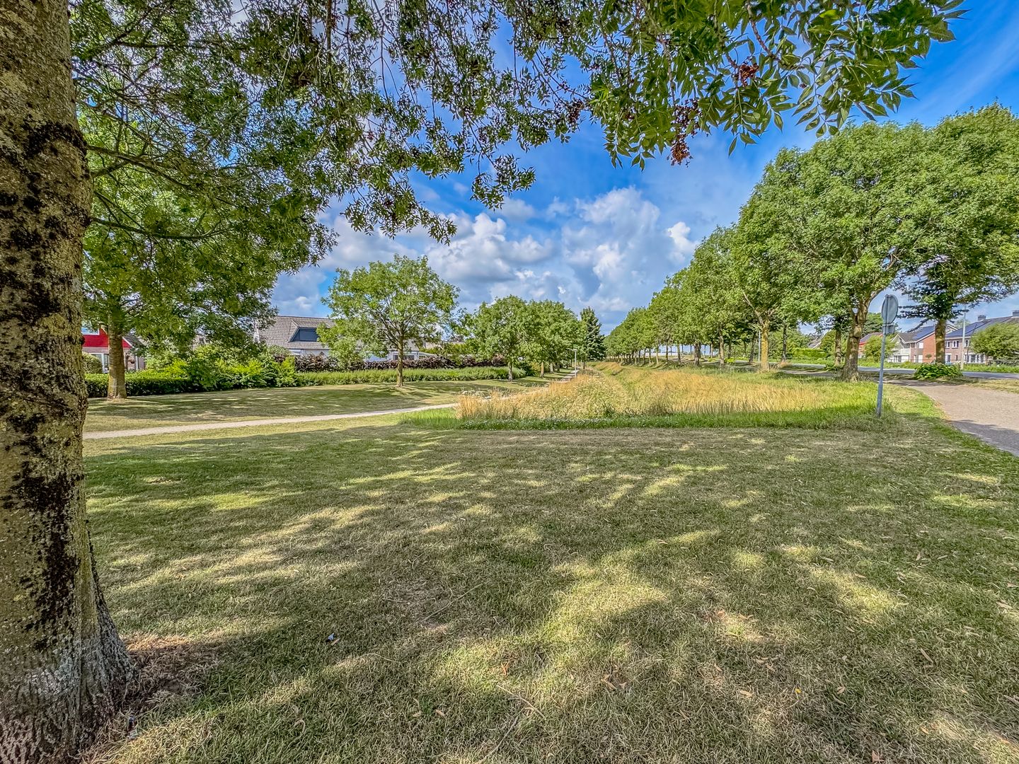 Foto 44 van Erdwal 16