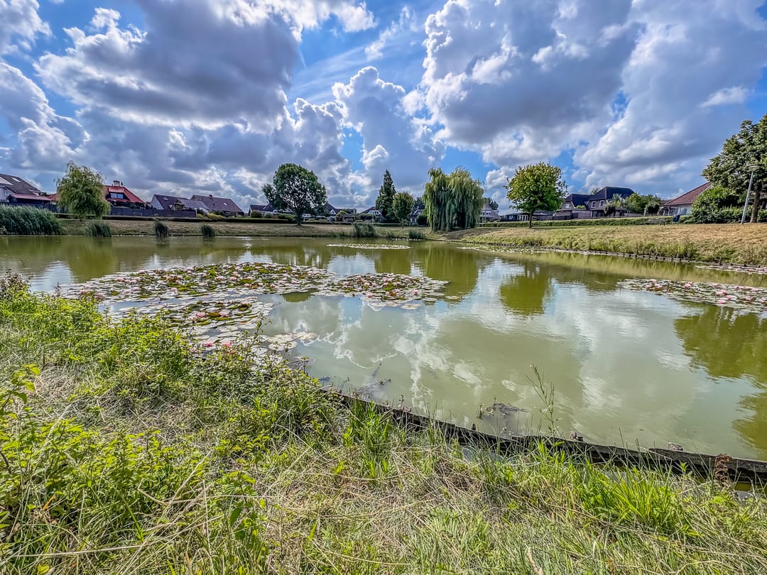 Foto 43 van Erdwal 16