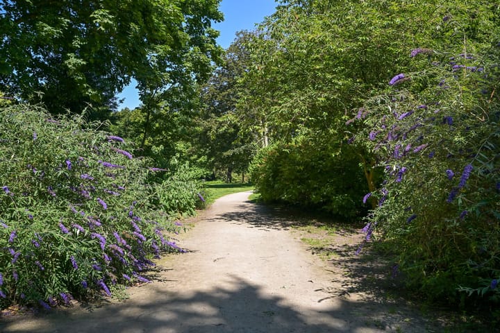 Foto 84 van Pippelingstraat 155