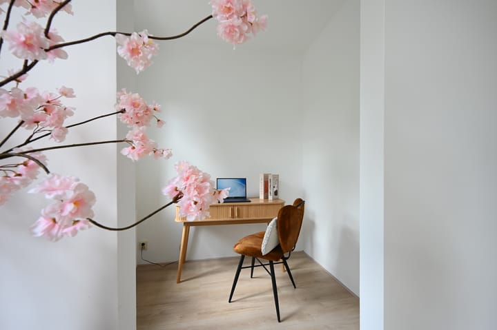 Foto 19 van Strevelsweg 135-A