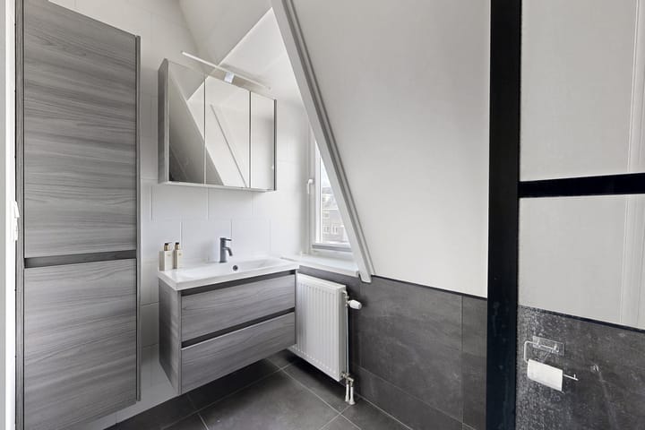 Photo 4 of Zomervlinder 12