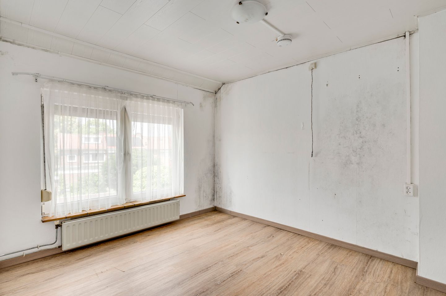 Photo 14 of Ariënsstraat 11