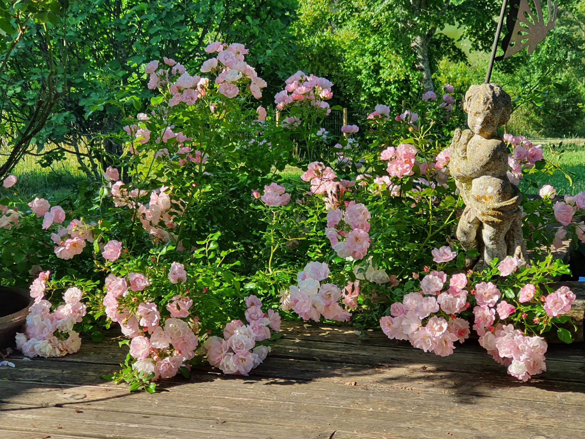 Foto 21 van Route de lesparre 1499