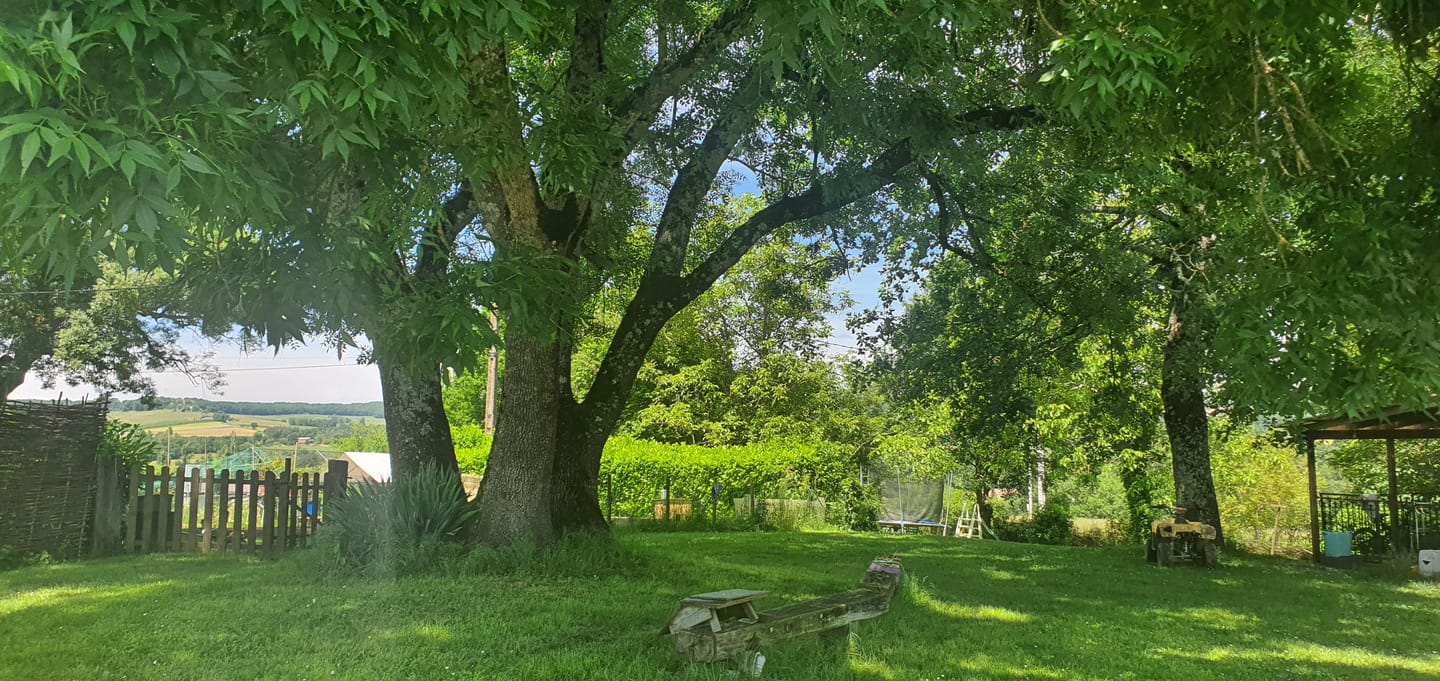 Foto 25 van Route de lesparre 1499