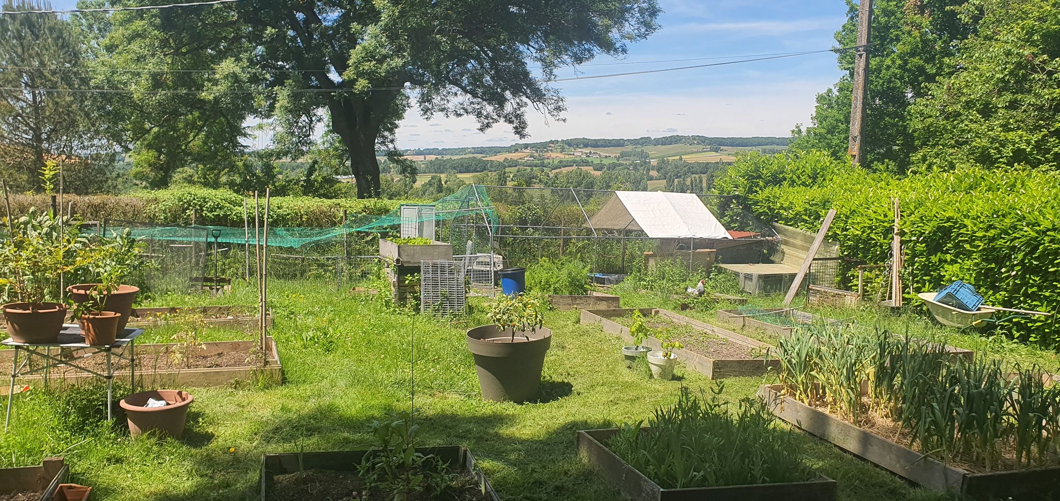 Foto 27 van Route de lesparre 1499