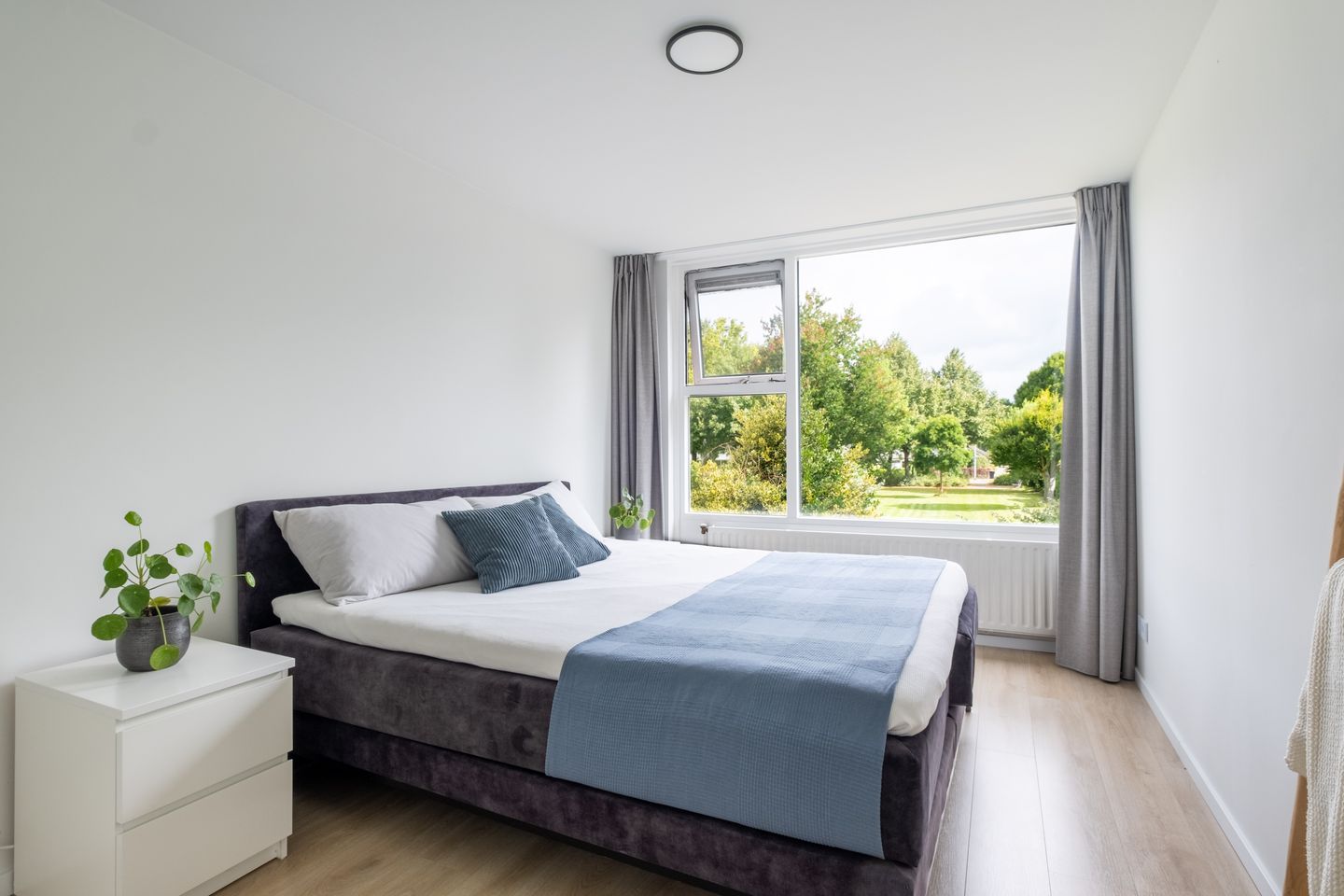 Foto 4 van Speenkruid 11