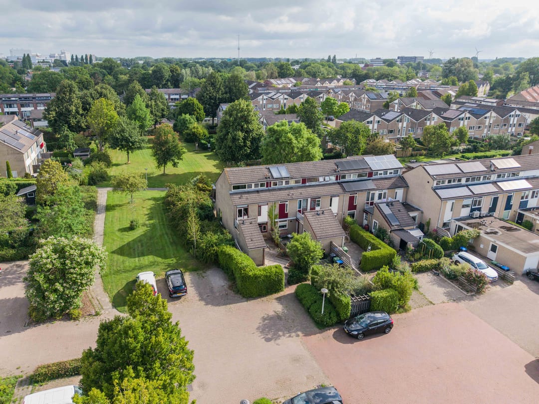 Foto 8 van Speenkruid 11