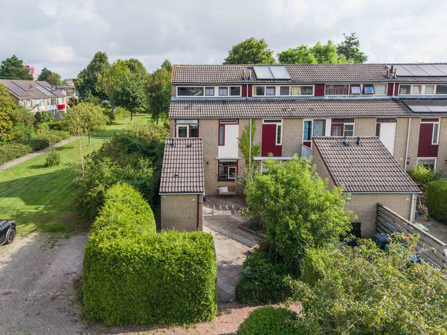 Foto 10 van Speenkruid 11