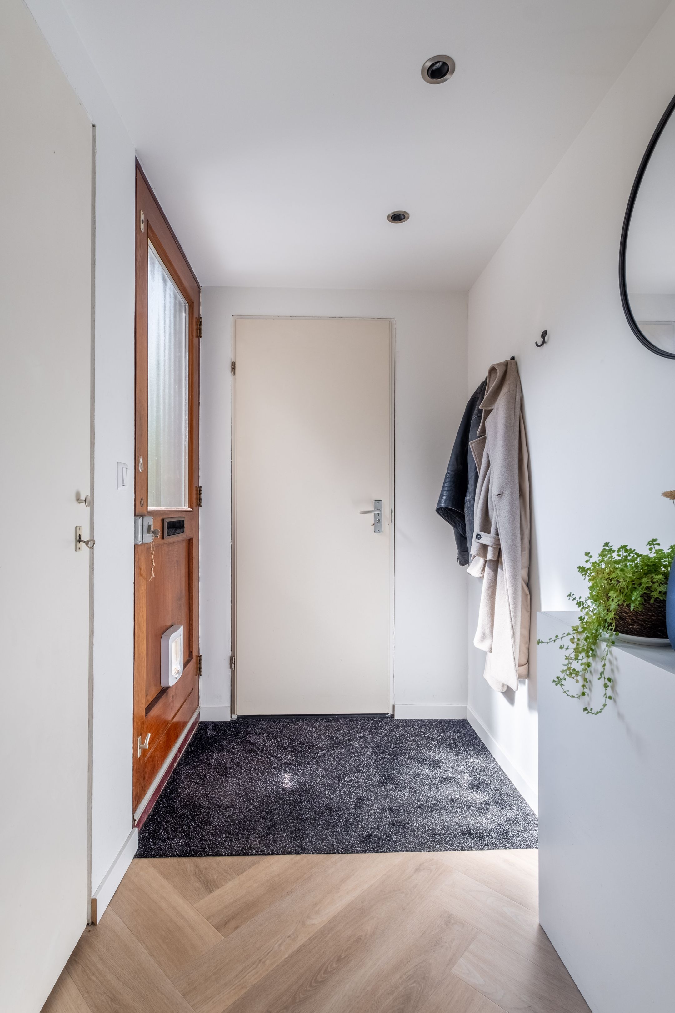 Foto 12 van Speenkruid 11