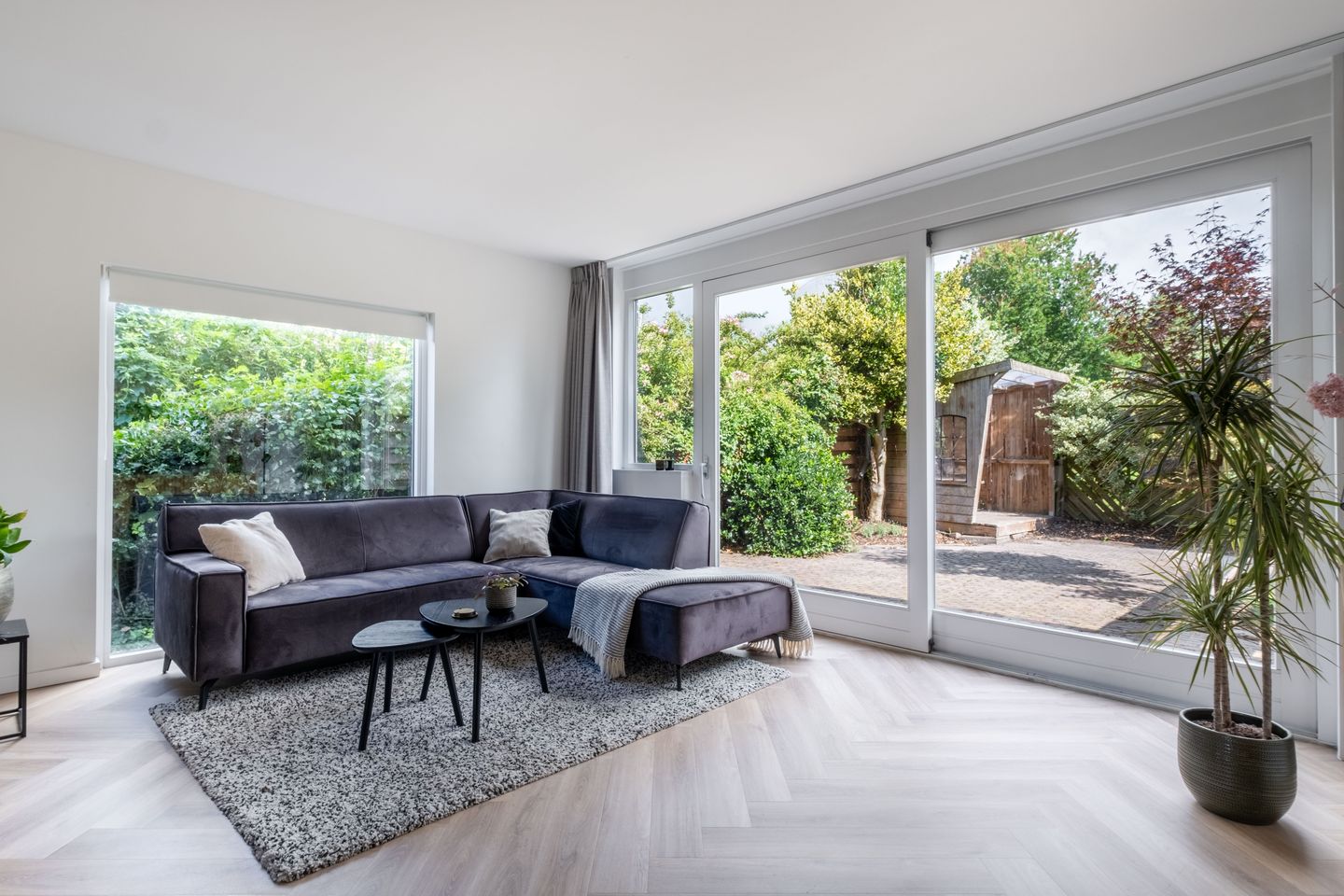 Foto 14 van Speenkruid 11