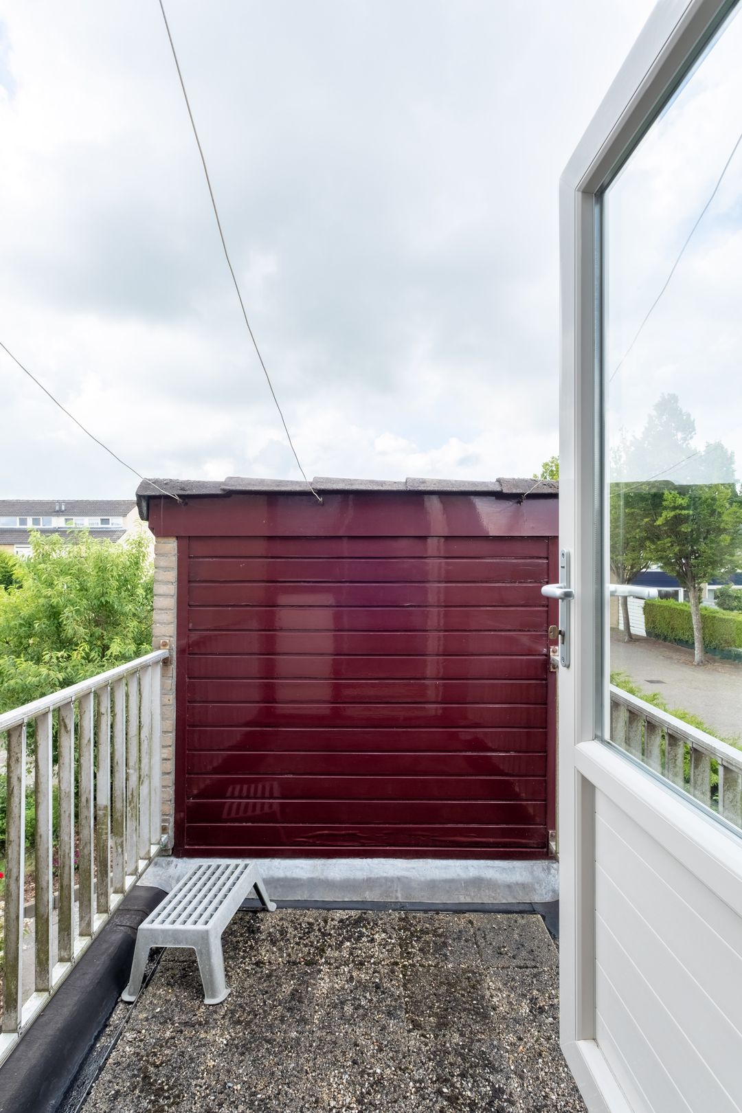 Foto 28 van Speenkruid 11