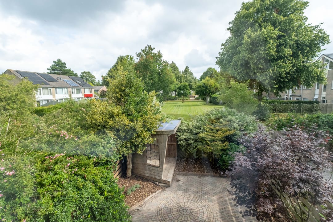 Foto 31 van Speenkruid 11