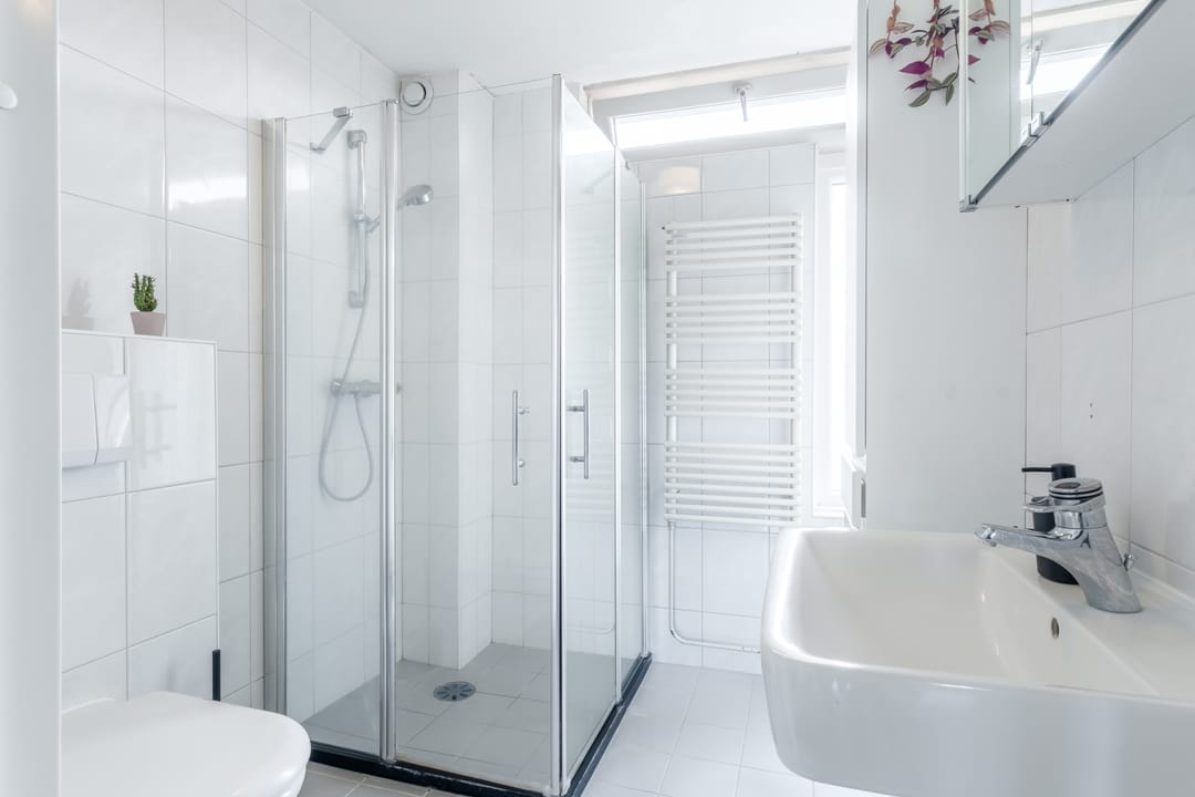 Foto 38 van Speenkruid 11