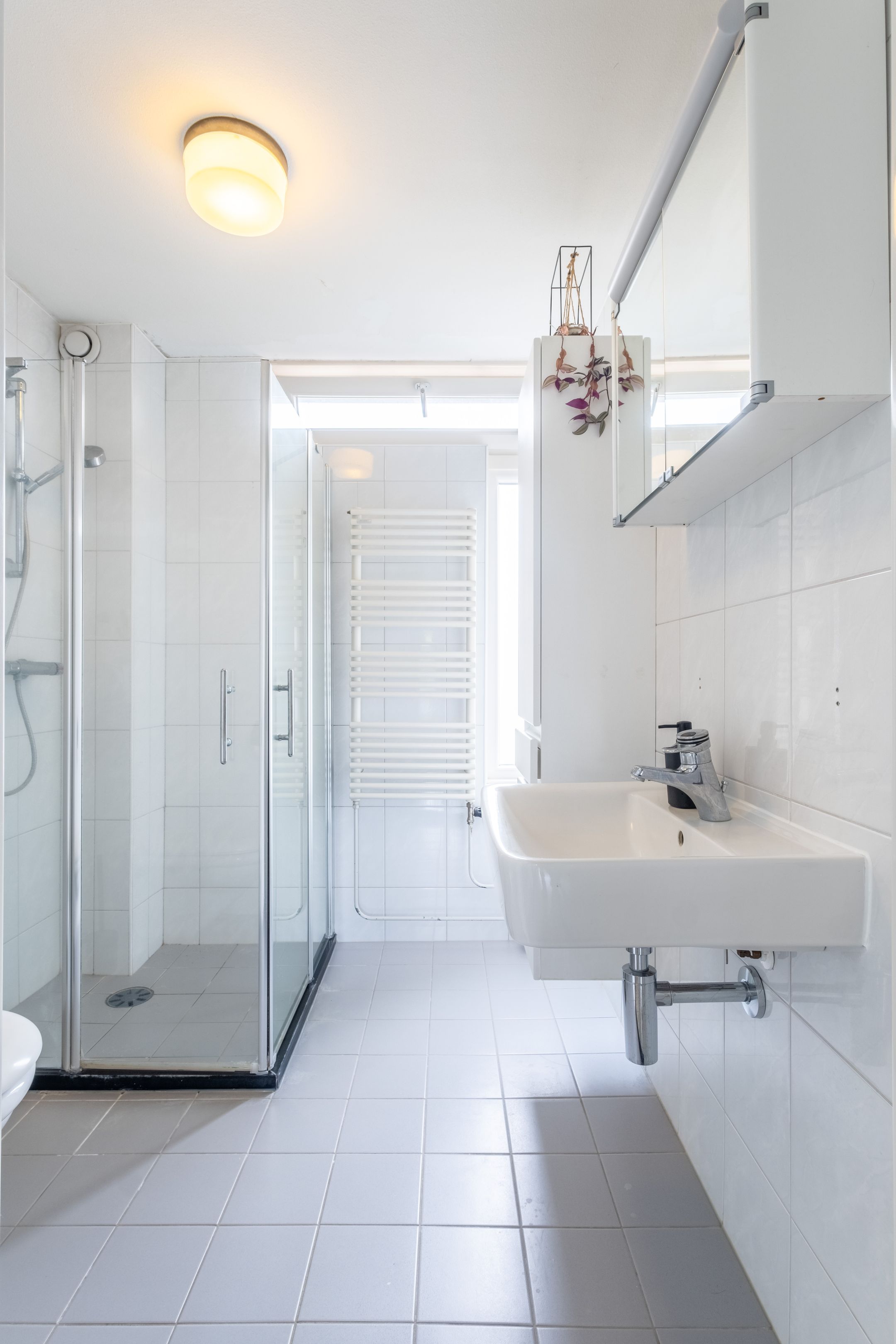 Foto 39 van Speenkruid 11