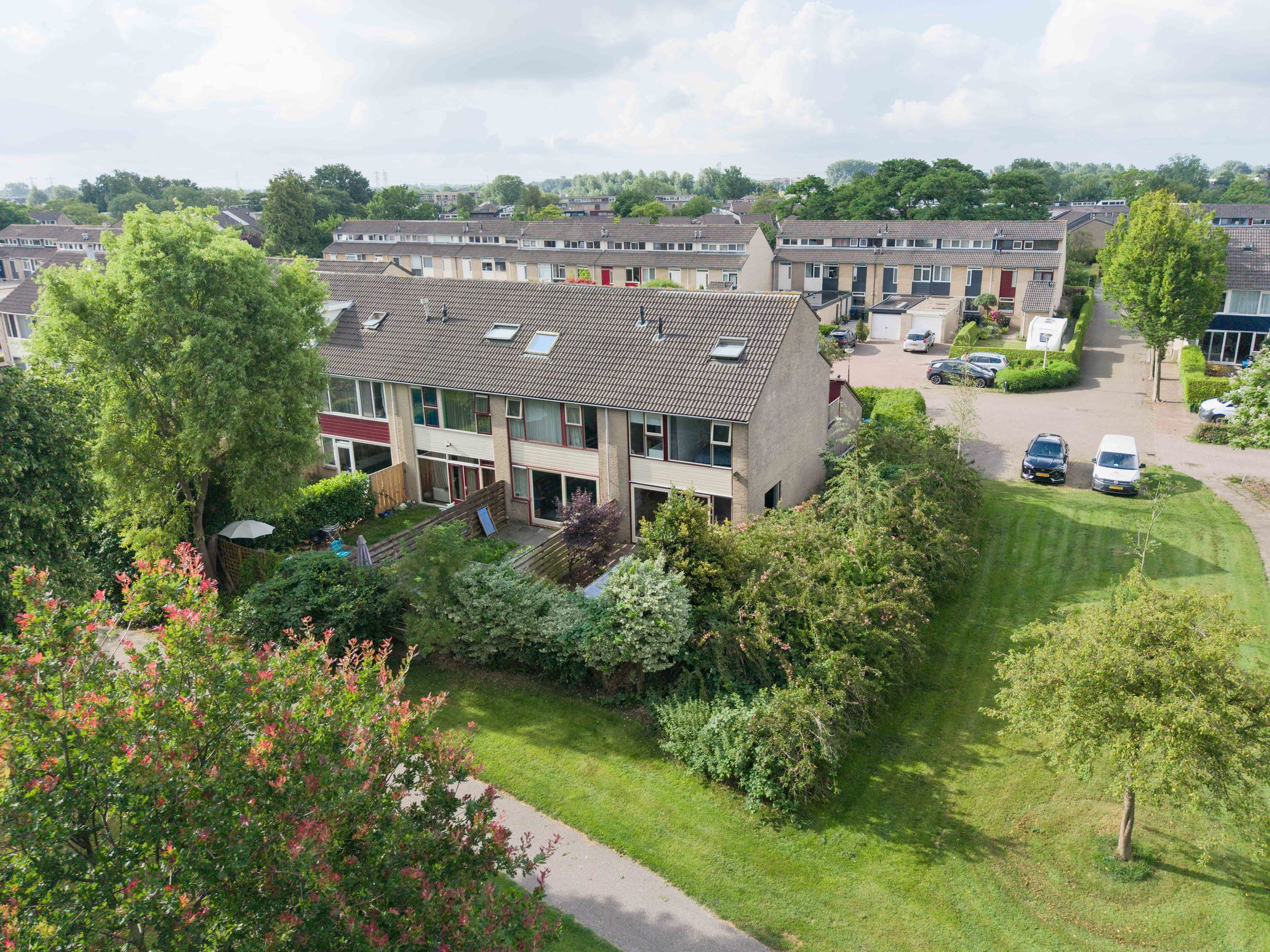 Foto 42 van Speenkruid 11