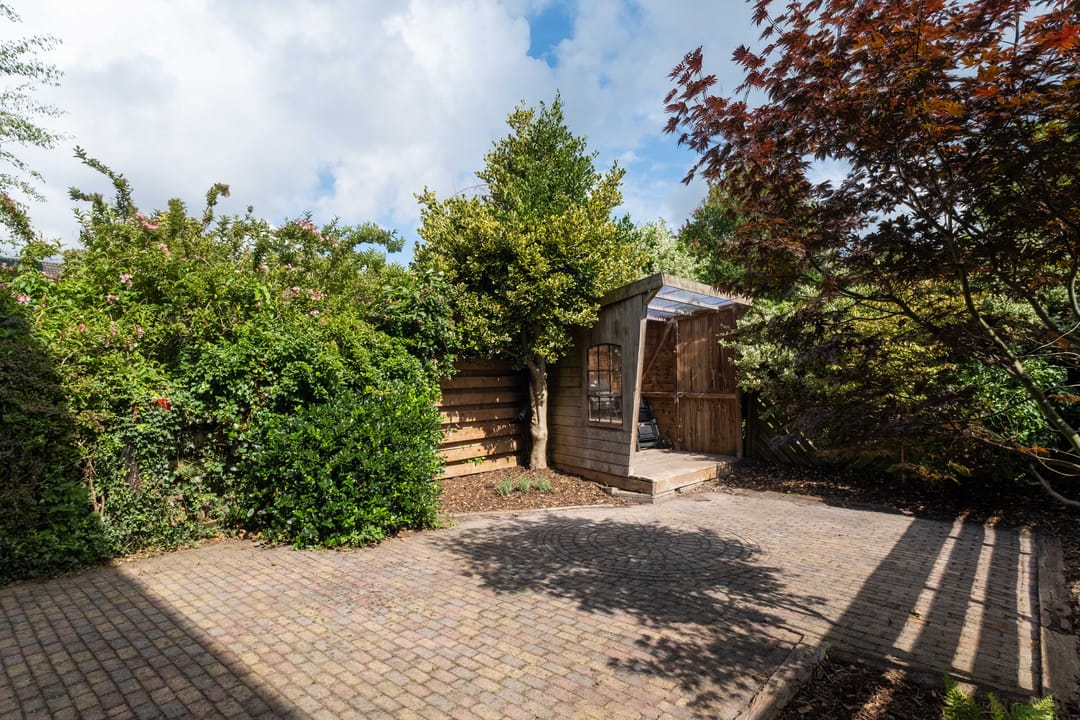 Foto 43 van Speenkruid 11