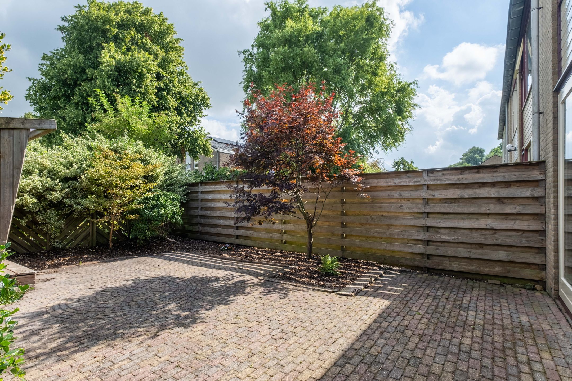 Foto 45 van Speenkruid 11