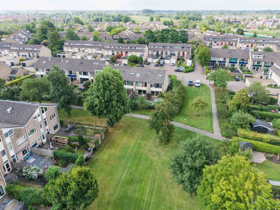 Foto 46 van Speenkruid 11