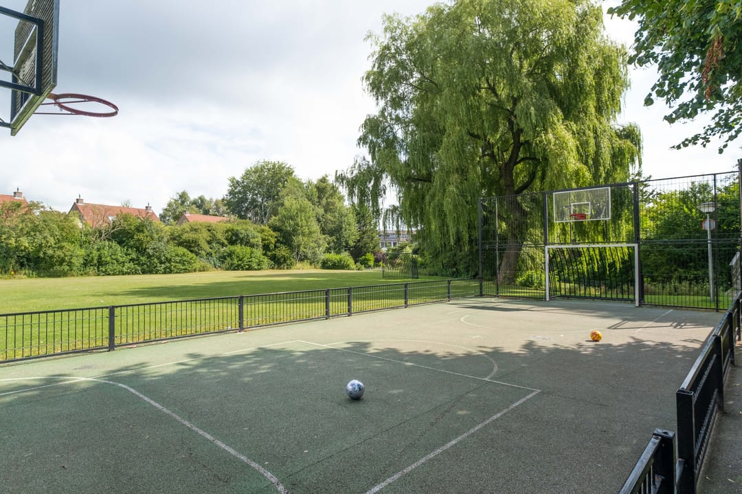 Foto 47 van Speenkruid 11