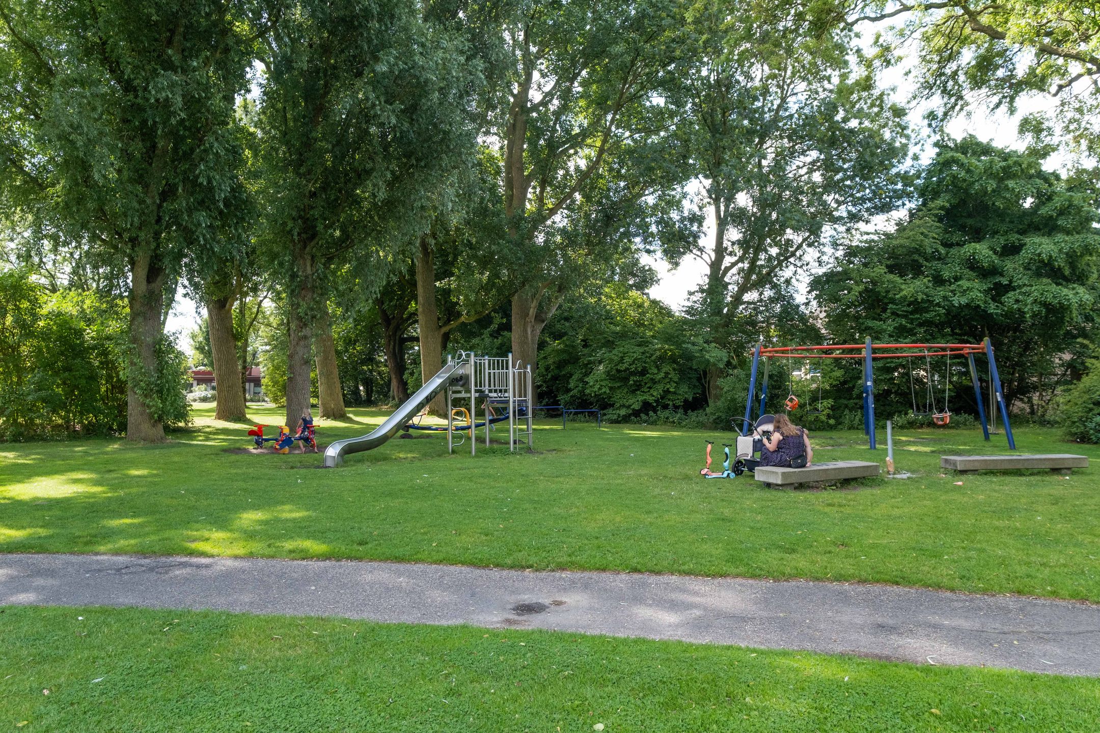 Foto 48 van Speenkruid 11